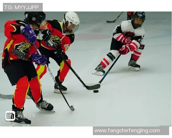 北京羽毛球队总决赛表现分析与状态评估全景回顾 北京羽毛球队总决赛表现分析与状态评估全景回顾