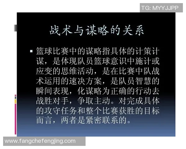 南京篮球队进攻体系解析：战术布局与球员配合的完美结合
