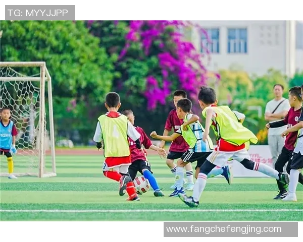 25个足球的奇妙旅程探索与成长的故事