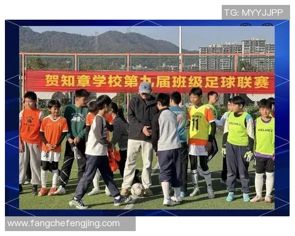 在绿茵场上挥洒汗水的足球爱好者们的激情与梦想