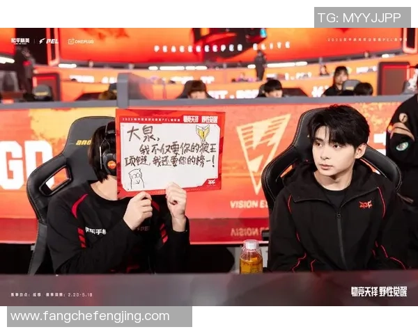 和平精英战术排名新突破JDG战队创新高引发热议与关注