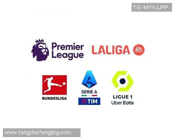 激情四溢的足球盛宴即将开启球队入场介绍带你领略赛场风采 激情四溢的足球盛宴即将开启球队入场介绍带你领略赛场风采