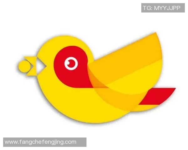 足球小句号的奇妙旅程与成长故事探寻 足球小句号的奇妙旅程与成长故事探寻